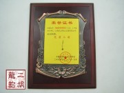 2009年珍品二胡大賽銅獎(jiǎng)二胡1241