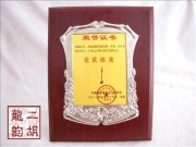 2011年珍品二胡大賽銀獎(jiǎng)二胡2319